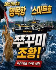 9월4일 스마트1호 쭈꾸미 조황입니다.