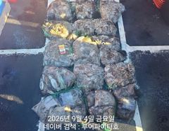 오늘의조황 - 9/4 금 [조금] 쭈꾸미/갑오징어 조항 입니다. - 루어파이터호
