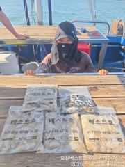 [쭈꾸미·갑오징어조황] 9/4일 오천베스트호 쭈꾸미.갑오징어 출조조황