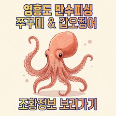 9월 4일 쭈꾸미 조황