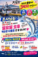 출조안내 - 내만갈치) 피딩피딩핑~6일 같이 출항하시죠?