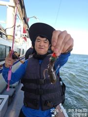 9/5일, 주꾸미~남녀노소 재미있는 생활낚시~~실시간~점점 좋아지는 쭈꾸미조황~군산 창성호