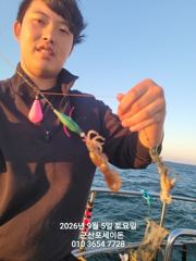 9/5일,가족과 함께 하면 재미있는낚시~군산쭈꾸미~실시간~점점 좋아지는 쭈꾸미조황~군산 포세이돈호