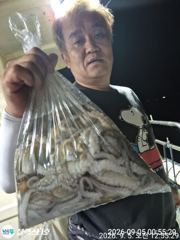 [사천] 문어조황굿~오늘오후 4시~12시