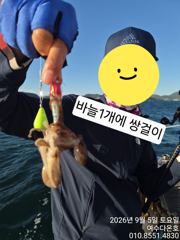 [여수,광양] 여수쭈꾸미 시원한 바람통에도 잘 나와줍니다. 일요일도 출항합니다…