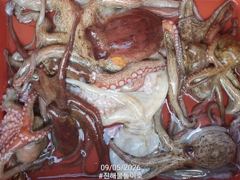 강풍속 돌문어 전원손맛 제법잡고.. ( 내일예약가능 )