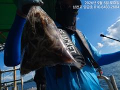임금호 주꾸미 상위권분들 70~80수 100수이상 가능하십니다