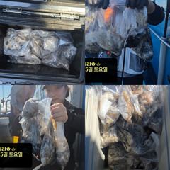 오늘의 조황 - 9/5 [홍원항 영진낚시] <시실리호> 쭈 & 갑 출조 조황 입니다 ~ ! ! - 홍원영진낚시,배낚시,선상낚시