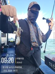 9월5일쭈꾸미조황입니다.