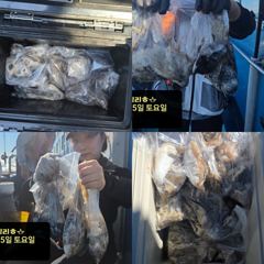 [쭈·갑·문조황]9/5[홍원항영진낚시]lt;시실리호gt;쭈amp;갑출조조황입니다~!!