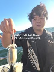 9/5,연일 계속되는 군산 쭈꾸미낚시~깝오징어는 보너스~군산 범고래호