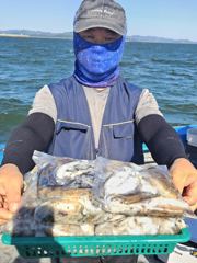 오늘의조황 - 9월4일 쭈꾸미 갑오징어 쌍걸이 조황요~ 아쉽게 오후에 강한바람으로 ~ㅜ - 마량항 태진호,마량포구 태진낚시,선상낚시