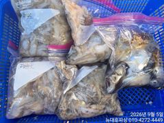 오늘의조황 - 뉴대호피싱 9월5일 쭈갑조황입니다!! - 홍원항 항구낚시