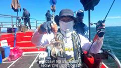 루어파이터호-9/5 토 [무시] 쭈꾸미/갑오징어 조항 입니다. 사진