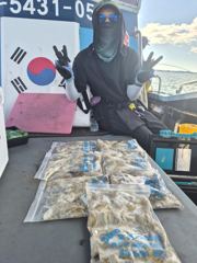 쭈꾸미 조황입니다