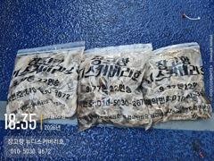 9월5일 쭈꾸미 오후짬낚시조황입니다