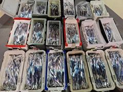 2시간전 [격포] 9월5일 부안 한아름호 쭈꾸미