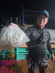 출조안내 - 9월5일 팀보스 선단 야간 문어 조황
