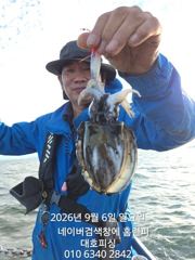 대호피싱 쭈꾸미 싸이즈 왜케 큰거야 문꾸미 수준