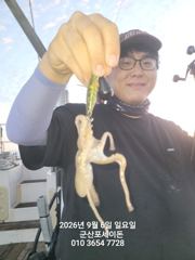 9/6일, 오늘도 시작~군산쭈꾸미~실시간조황~점점 좋아지는 조황~군산 포세이돈호