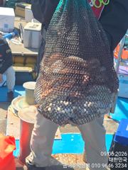 오늘은 싸이즈가 아주묵직 했어요