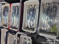 와~,내만칼치 3지까지 어마어마 퍼담고 많타먾아 타작하고~일,월,화욜예약가능 사진