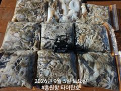 오늘의조황 - [홍원항 타이탄호] 9월5일(토) 말이 필요없는 조황 - 홍원항 블랙펄호,배낚시,바다낚시,광어 다운샷, 참돔 타이라바, 백조기, 주꾸미, 갑오징어, 우럭