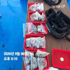 9월6일 오전오후 쭈꾸미 조황