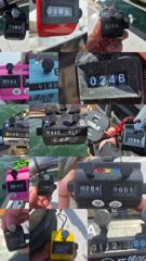 오늘의조황 - 26.9.6 미라클호 쭈갑 조황 - 신진도 미라클호,배낚시,선상낚시 전문