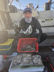 조황정보 - 오천항금땡이호 9월6일 쭈꾸미&갑오징어 조황 - 오천항 금땡이호,배낚시,낚시배 전문