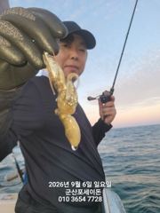 9월6일-쭈꾸미 조황