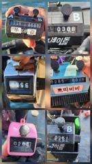 [쭈갑조황] 9.6일 쭈꾸미 조황입니다
