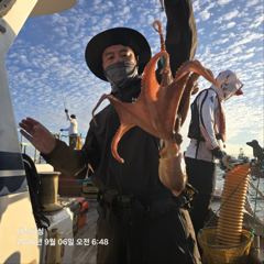 9월6일 쭈꾸미 조황입니다~~