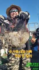 49분전 [진해] 안골) 킬로급외 돌문어 빅사이즈 마릿수 (9/6일) 굳굳조황 - 월욜야간 예약가능(낚시대대여-초보환영)