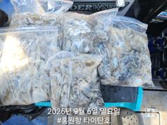 [홍원항 타이탄호] 9월6일(일) 야들야들 하지만 손맛은 일품인~