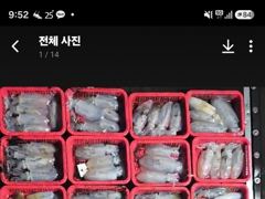 [통영] 10톤통영스텔라호 밴드로 오세요 187수!!우후