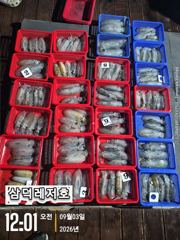 [팁런]똥바람통,무늬,"퍽퍽"(화요일,출항확정,자리널널)