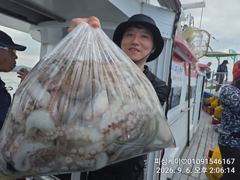 (南)남해조황 - 삼천포 돌문어! 가을 시즌 씨알 마릿수 시작! 사진