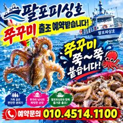 팔포피싱호 문어 조황입니다!
