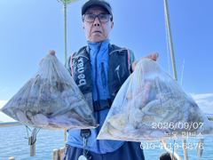 9월 7일 문어 조황입니다.