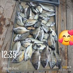 [고성] 병산 9/6 감성돔35외 엄청마리수 선상배 및 선외기 흘림조황…
