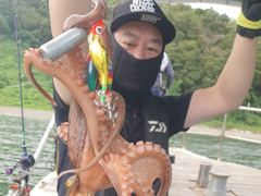 [진해] 9/6 돌문어 중치급 손맛 보시고 제법잡고.. ( 내일예약가능 …