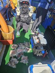 오늘의 조황 - 9월7일 주꾸미 조황 - 오천항 월드레저