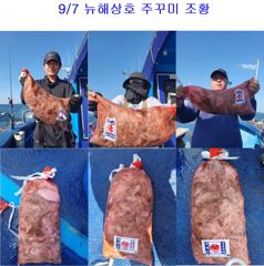 쭈.갑 먹물조황+ - 9월 7일 회변항 뉴해상호 주꾸미 조황 사진