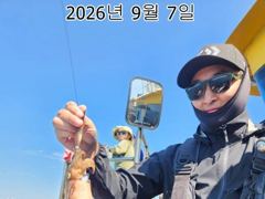 26년 09월 07일 인천은아3호 오전오후 시간배 낚시 조항입니다~~