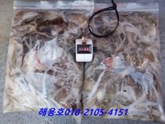 26년9월7일조황