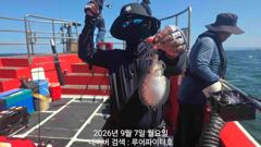 쭈.갑 먹물조황+ - 루어파이터호-9/7 월 [2물] 쭈/갑 조항 입니다.