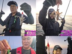 (西)서해조황 - 레인보우호 쭈꾸미 실시간 조황(8일)-내일 종일 자리있음