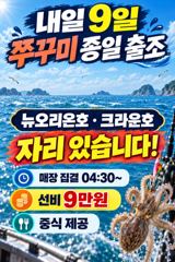 뉴오리온호 쭈꾸미 낚시 실시간조황(8일)-내일 자리있음