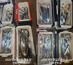 내만갈치 씨알급 잡으로 갑니다~~~~예약가능
